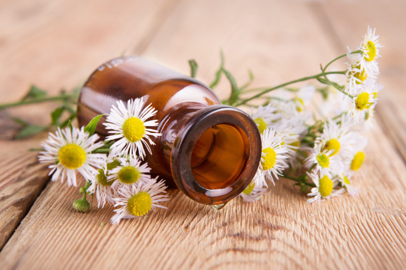 Chamomile Soothing Serum Private Label, Contract Manufacturing Chamomile Soothing Serum, Contract Manufacturer Chamomile Soothing Serum, Chamomile Soothing Serum OEM, Custom Chamomile Soothing Serum